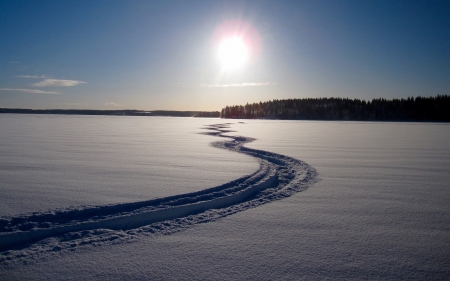 Path - winter, nature, snow, sun