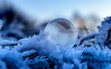 Soap bubble - winter, nature, bubble, frost