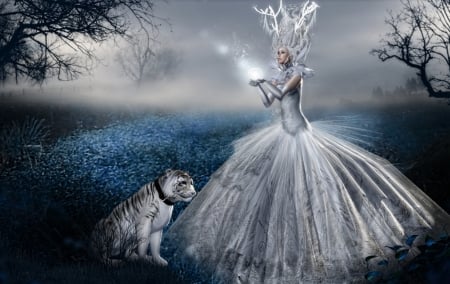 * - art, tiger, lady, queen