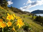 Okanagan Valley, Canada