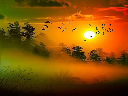 Foggy Sunset - nature, art, trees, clouds, fog, sunset, fantasy, birds