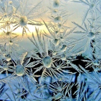 Frost Flowers