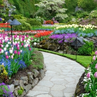 Butchart Gardens, Victoria, B.C.