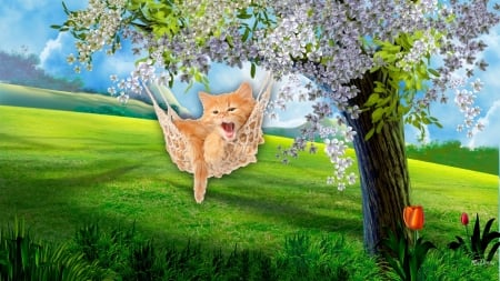 Spring Kitty Shade - flowers, kitten, hammock, spring, grass, tree, cat, kitty