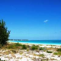 East Beach, Great Harbor Cay