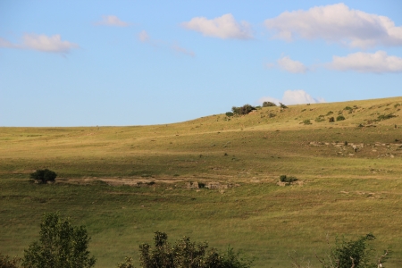 Farm - bliss, blue skies, green grass, peace