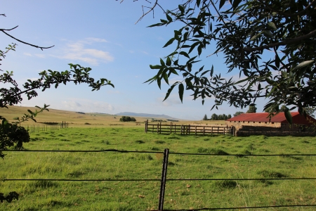 Farm - grass, blue, green, sky