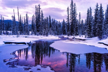 Canadian Rockies Before Spring - ice, firs, sky, snow, river, clouds, water