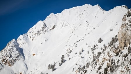 Wasatch Mountains Snow - nature, Salt Lake City, Wasatch, mountains, Utah, United States