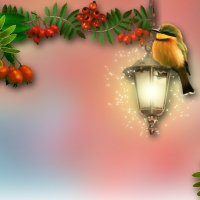 Bird on lamp