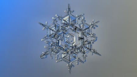 Snowflake Under Microscope - wide screen, snowflake, photography, nature, abstract, forces of nature, beautiful, microscope, photo