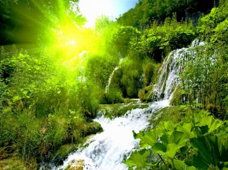 Forest Falls - greenery, trees, stream, forest, light, calmness, glow, nature, waterfall