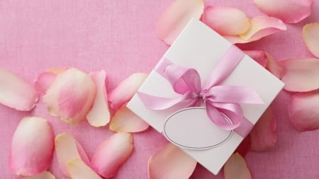 Pink Petals - flowers, card, petals, pink