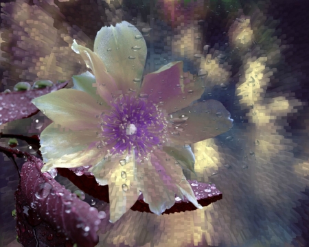 Beautiful Flower - glass, flower, petals, bloom