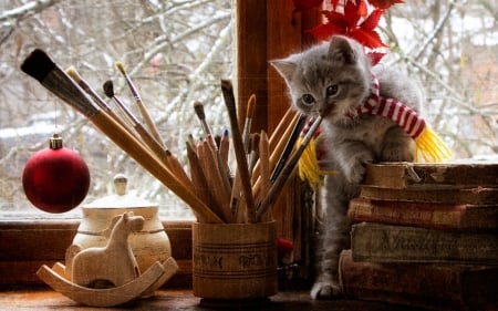 Still Life - animal, books, still life, cat