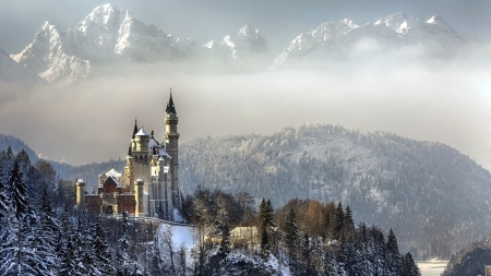 Winter Morning in Bavaria - alps, neuschwanstein, mist, landscape, mountains, peaks, castle