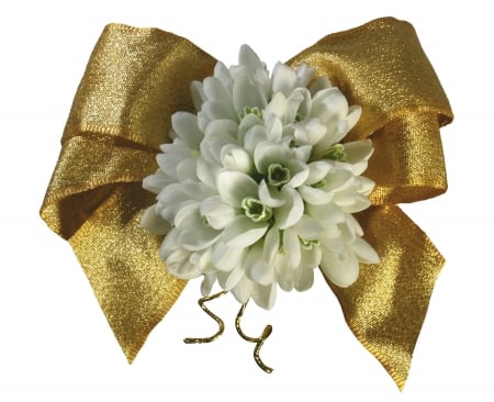 Happy Spring! - white, snowdrop, spring, golden, bow, card, flower