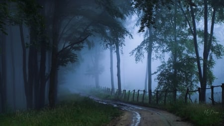 Foggy Path - trees, fog, blue, mystical, road, forest, fence, path, Firefox Persona theme, mist