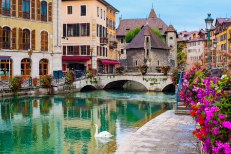 Annecy, France - flowers, river, houses, reflection, bridge