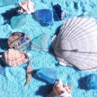 Blue Sand And Seashells