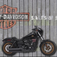 2017 Harley Davidson Low Rider Wall