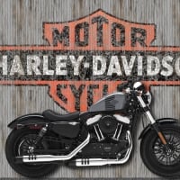 2017 Harley Davidson Forty Eight