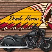 2017 Indian Dark Horse 2