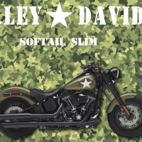 2017 Harley Davidson Softail  slim