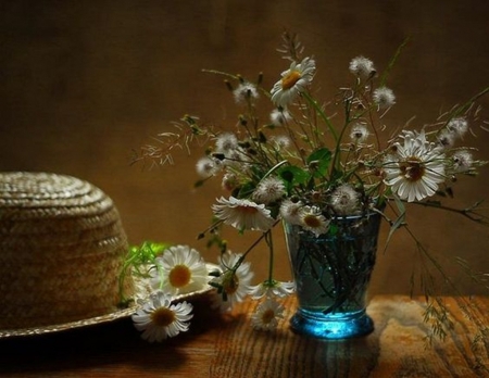 Still Life - flowers, photography, hats, cool, still life