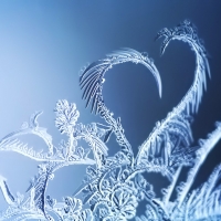 Frost macro