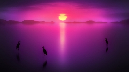 Purple Sunset - calm, nature, purple, reflection, sun, peace, sunset, birds