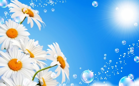 Daisies background - rays, freshness, sunshine, sunlight, sun, lovely, bubbles, spring, glow, pretty, beautiful, flowers, daisies