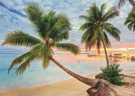 Beach in French Polynesia - clouds, water, sea, palmtrees, sky, pier