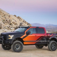 2015 Ford F150- Dark Ops