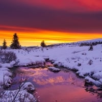 Winter Sunset