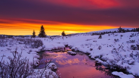 Winter Sunset - nature, trees, clouds, bush, snow, stream, winter, sunset