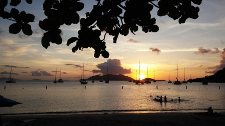 Beautiful sunset - clouds, water, boat, ocean, sand, leaves, yacht, sailing, sunset, nature, sun, sky, Beach