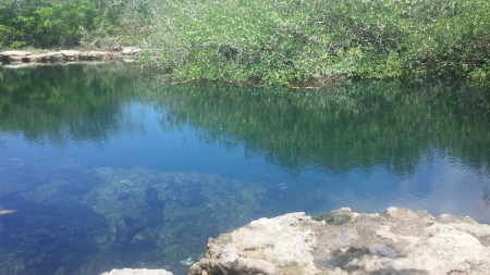 Watery deep lake - lake, trees, blue, water, rock