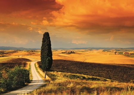 Tuscan Sunset - clouds, path, fields, landscape, italy, tree, sky