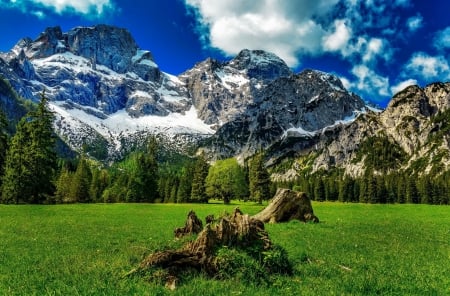 Snowy peaks - greenery, beautiful, snow, landscape, spring, grass, freshness, mountain, peak, cliffs, sky, rocks