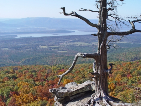 Mount Magazine - arkansas river, arkansas, mt magazine, ozarks