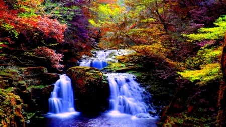 Forest Falls - forest, waterfall, trees, nature, blue, falls, autumn