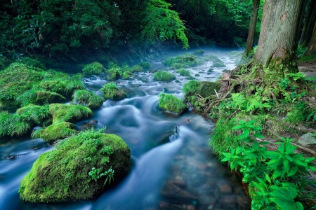 Flowing River - river, water, nature, flowing