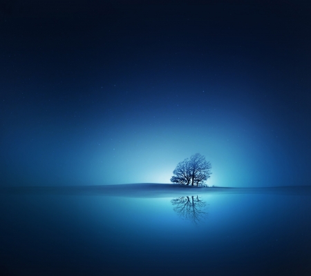 Blue Dreams - nature, tree, reflection, blue