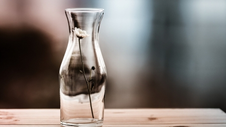 [[âœ¿ ]] - table, wallpaper, flower, vase