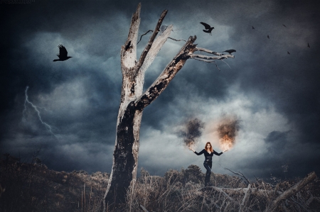 With Fire - woman, crow, fires, dark, tree