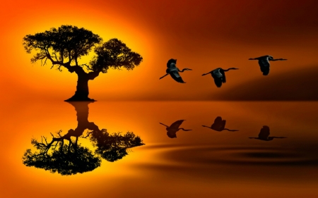 Beautiful Sunset - tree, nature, sunset, birds