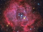 The Rosette Nebula