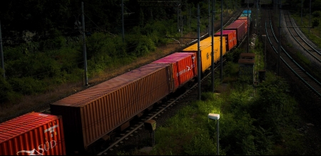 Beautiful colors - Train, colors, forest, tree