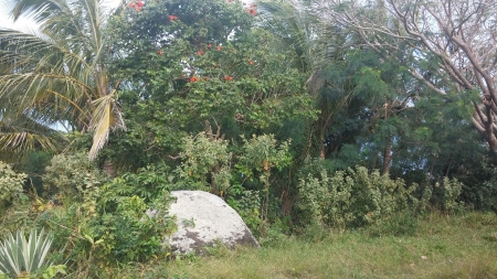 summer day - stone, sky, trees, greenery, summer, plants, nature, view, leaves, green, rock, forrest, grass